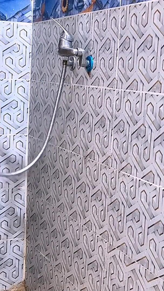 سلمى الجنس العربي