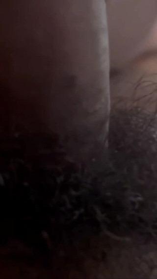 كان صوت ضرطة الهرة الساحر يصدر عندما كانت تستمتع به كثيرًا.